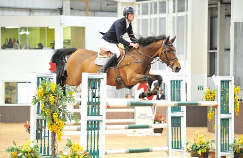 Addington Equestrian - Senior British Showjumping 3 Day Show