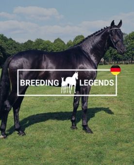 Breeding Legends - Legenden der Zucht